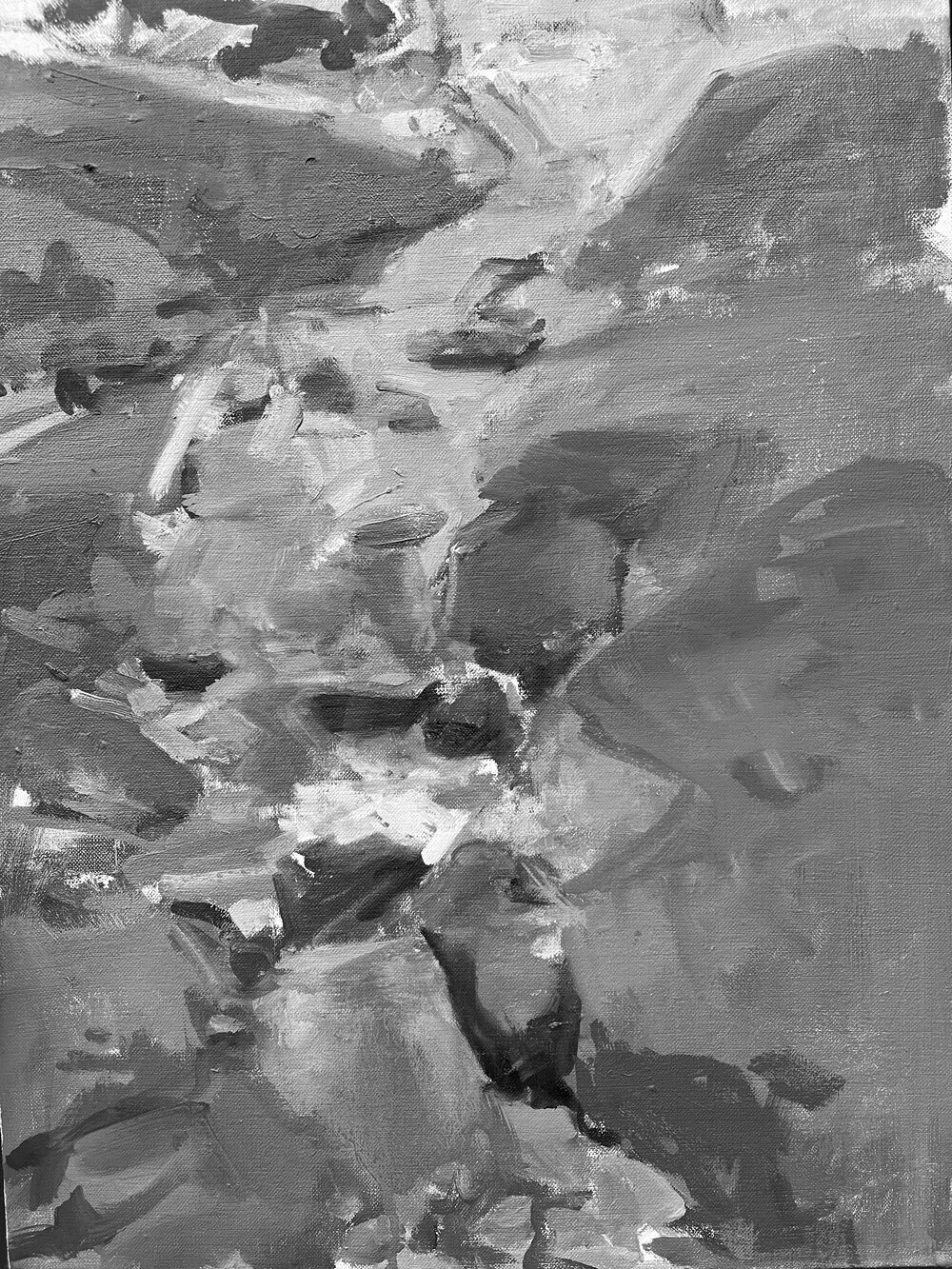 The stream study in grayscale, showing its value structure
